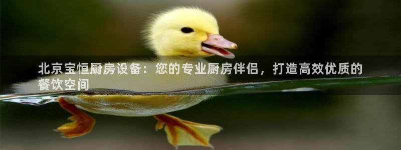 尊龙凯时产品种类：北京宝