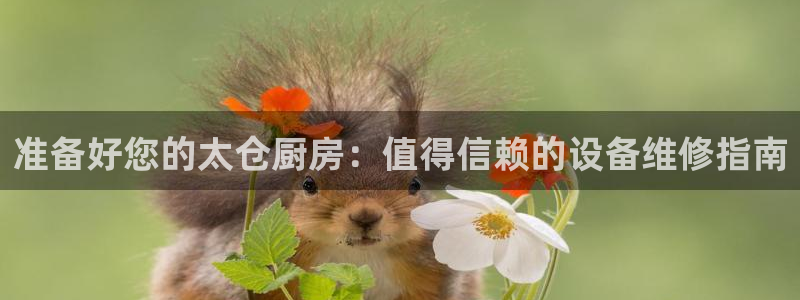 尊龙凯时·中国官方网站：准备好您的太仓厨房：值得信赖的设备维