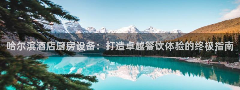 尊龙d88官网登录：哈尔滨酒店厨房设备：打造卓越餐饮体验的终
