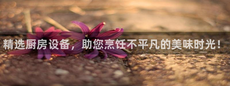 尊龙凯时网娱乐官网