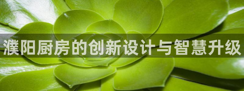 尊龙凯时人生就是博游戏网站