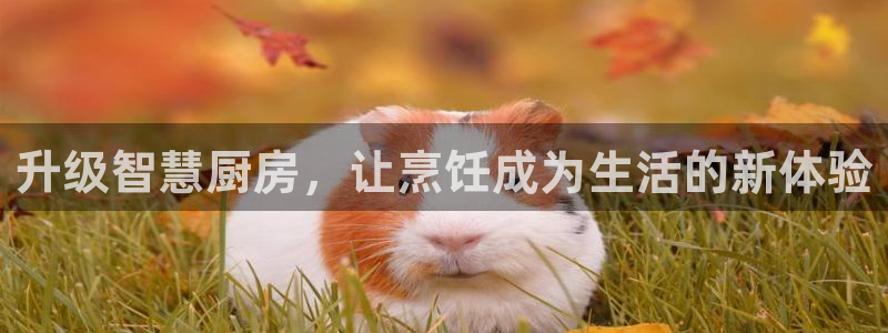 尊龙凯时只输不赢