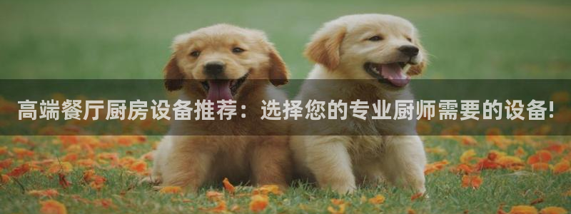 尊龙人生就是博网站下载