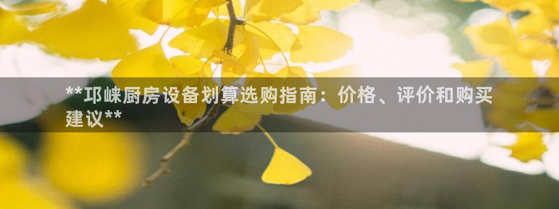 凯时国际娱乐官方网址：**邛崃厨房设备划算选购指南：价格、评