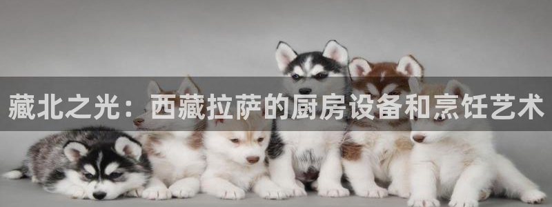 尊龙凯时app安装