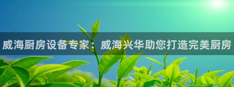 尊龙凯时ag旗舰厅官网客服：威海厨房设备专家：威海兴华助您打