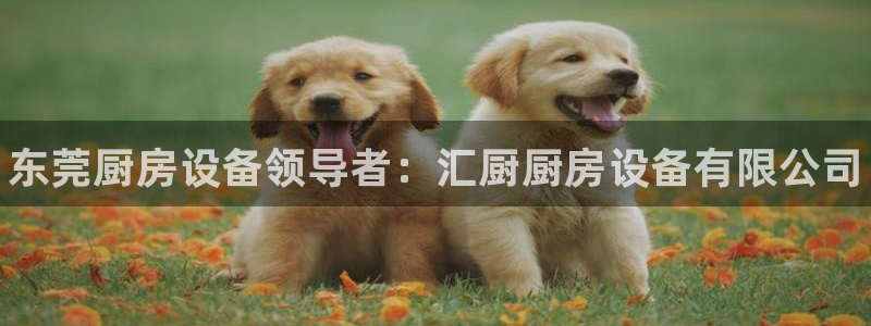 尊龙/人生就是博：东莞厨房设备领导者：汇厨厨房设备有限公司