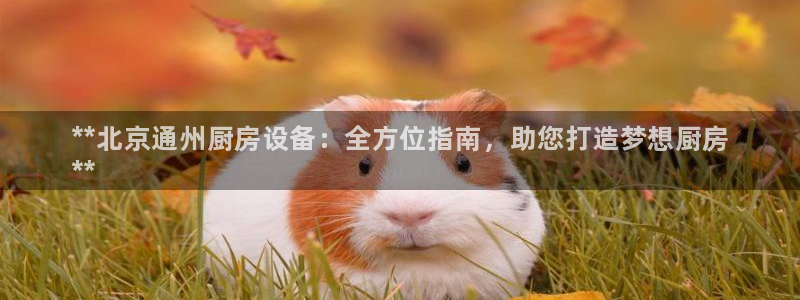 尊龙网站注册站注册：**北京通州厨房设备：全方位指南，助您打